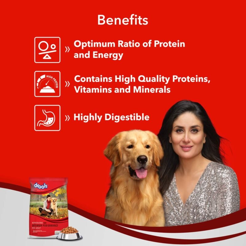 Premium Adult Dog Dry Food for Optimal Health - Image 4