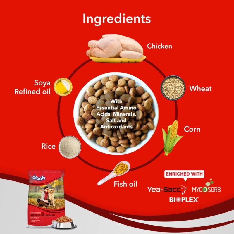 Premium Adult Dog Dry Food for Optimal Health - Image 3