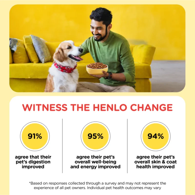 Choosing the Best Dry Food for Adult Dogs: A Comprehensive Guide - Image 2